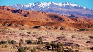 Best Quad Biking Trails Near Marrakech: A Local's Guide